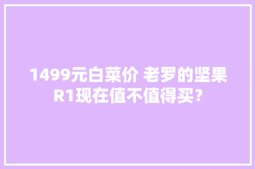 1499元白菜价 老罗的坚果R1现在值不值得买？