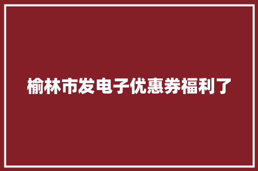 榆林市发电子优惠券福利了