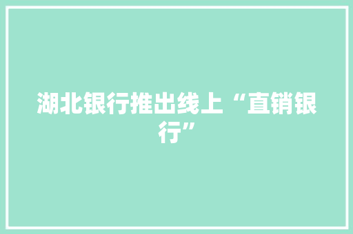 湖北银行推出线上“直销银行”