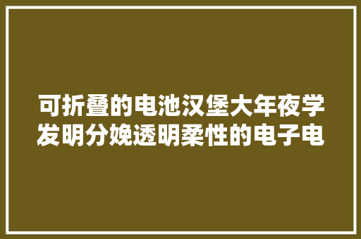 可折叠的电池汉堡大年夜学发明分娩透明柔性的电子电路,打印机怎样连接电脑打印。