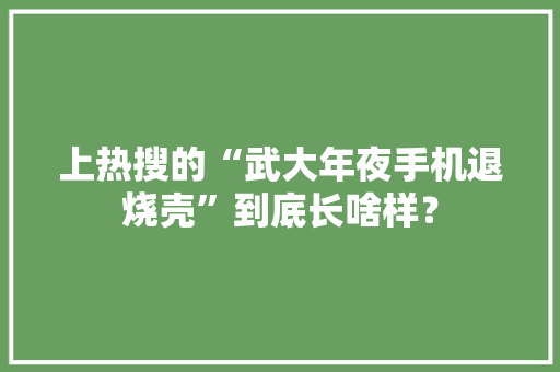 上热搜的“武大年夜手机退烧壳”到底长啥样？,手机壳发黄怎么清洗变白。