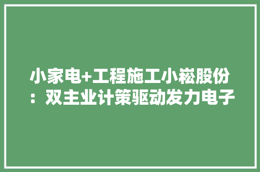 小家电+工程施工小崧股份：双主业计策驱动发力电子烟赛道
