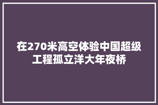 在270米高空体验中国超级工程孤立洋大年夜桥