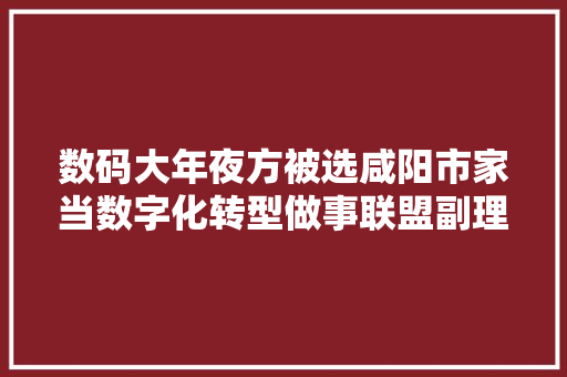 数码大年夜方被选咸阳市家当数字化转型做事联盟副理事长