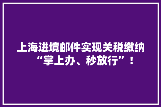 上海进境邮件实现关税缴纳“掌上办、秒放行”！
