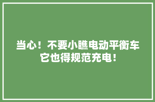 当心！不要小瞧电动平衡车它也得规范充电！
