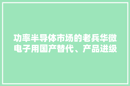 功率半导体市场的老兵华微电子用国产替代、产品进级抢千亿市场