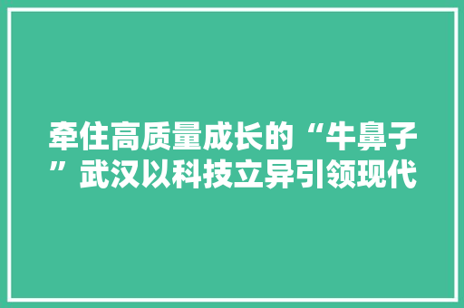 牵住高质量成长的“牛鼻子”武汉以科技立异引领现代化家当体系培植
