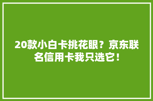 20款小白卡挑花眼？京东联名信用卡我只选它！
