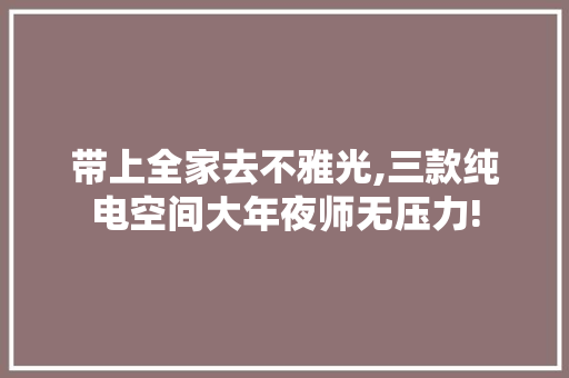 带上全家去不雅光,三款纯电空间大年夜师无压力!