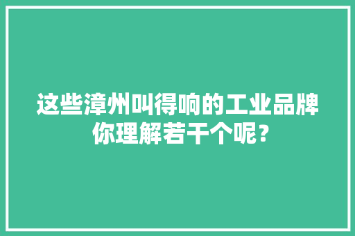 这些漳州叫得响的工业品牌 你理解若干个呢？