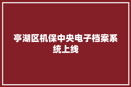 亭湖区机保中央电子档案系统上线
