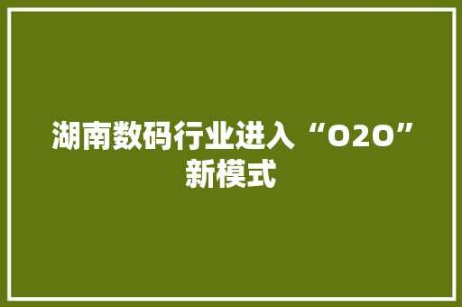 湖南数码行业进入“O2O”新模式