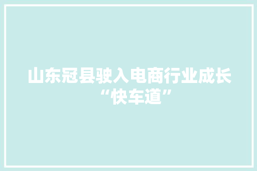 山东冠县驶入电商行业成长“快车道”,电商是做什么的。