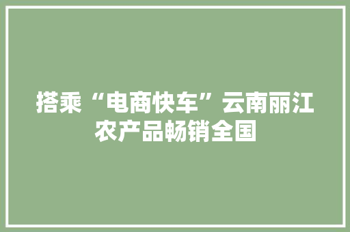 搭乘“电商快车”云南丽江农产品畅销全国,电商是做什么的。