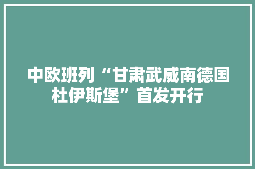 中欧班列“甘肃武威南德国杜伊斯堡”首发开行