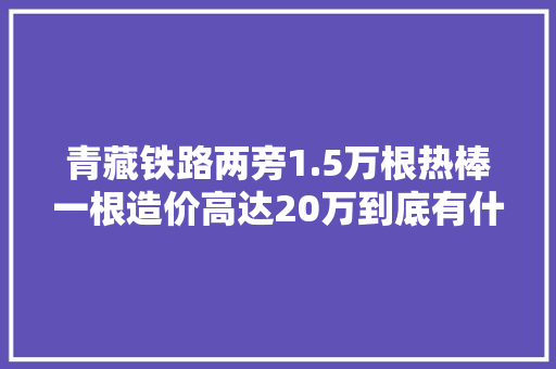 青藏铁路两旁1.5万根热棒一根造价高达20万到底有什么用？,冻土层深度是多少。