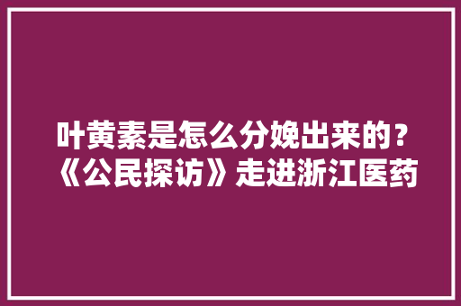 叶黄素是怎么分娩出来的？《公民探访》走进浙江医药