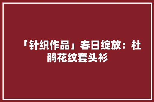 「针织作品」春日绽放：杜鹃花纹套头衫