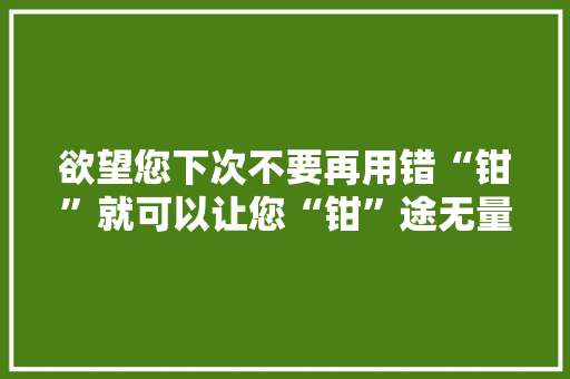 欲望您下次不要再用错“钳”就可以让您“钳”途无量,大力钳子图片。