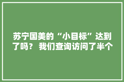苏宁国美的“小目标”达到了吗？ 我们查询访问了半个月创造反差