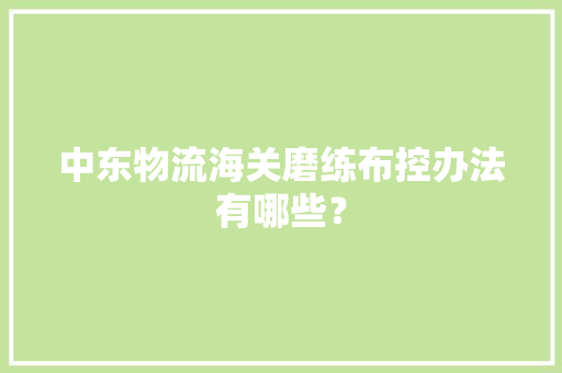 中东物流海关磨练布控办法有哪些？