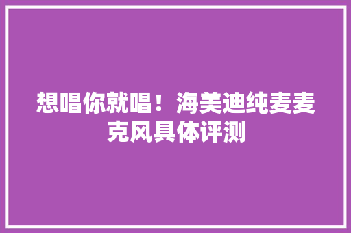 想唱你就唱！海美迪纯麦麦克风具体评测