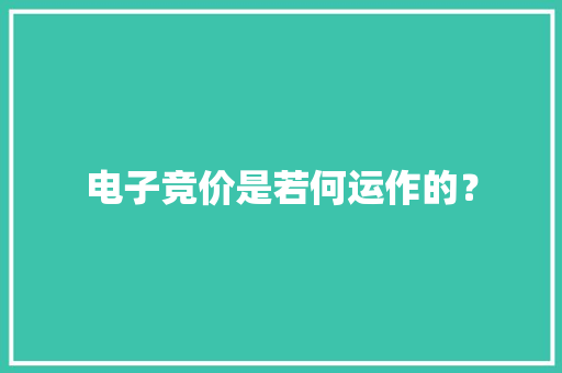 电子竞价是若何运作的？