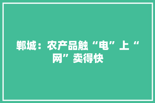 郸城：农产品触“电”上“网”卖得快