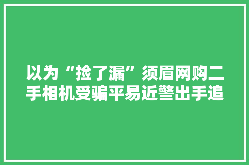 以为“捡了漏”须眉网购二手相机受骗平易近警出手追回1.6万