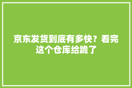 京东发货到底有多快？看完这个仓库给跪了