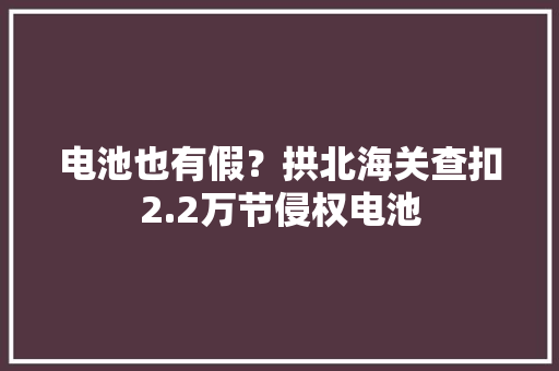 电池也有假？拱北海关查扣2.2万节侵权电池