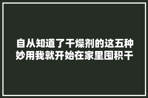自从知道了干燥剂的这五种妙用我就开始在家里囤积干燥剂了