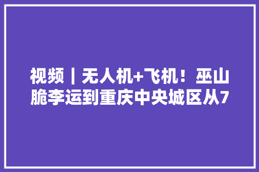 视频｜无人机+飞机！巫山脆李运到重庆中央城区从7小时缩短至1.5小时