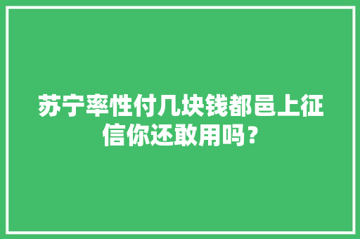 苏宁率性付几块钱都邑上征信你还敢用吗？