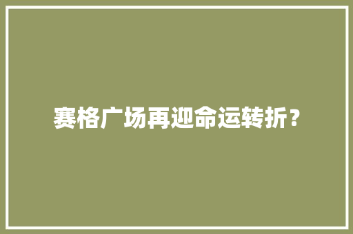 赛格广场再迎命运转折？
