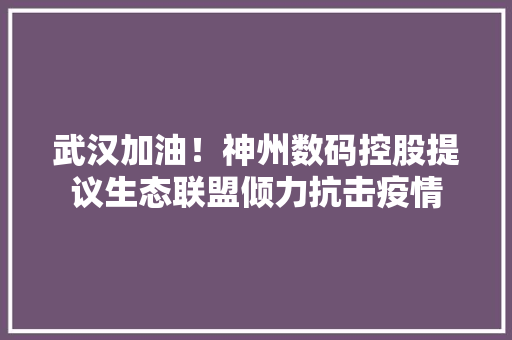 武汉加油！神州数码控股提议生态联盟倾力抗击疫情