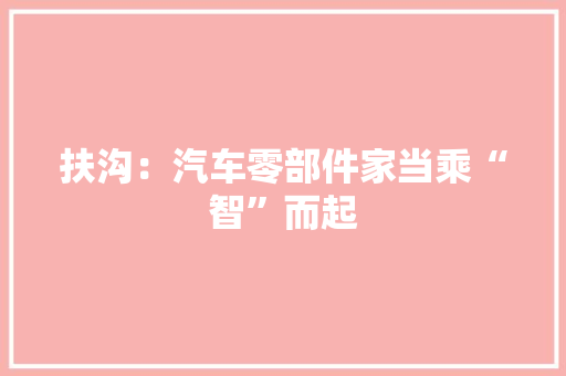扶沟：汽车零部件家当乘“智”而起,家当是什么意思。