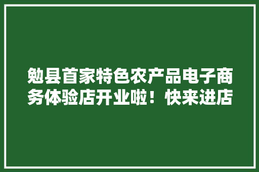 勉县首家特色农产品电子商务体验店开业啦！快来进店体验！