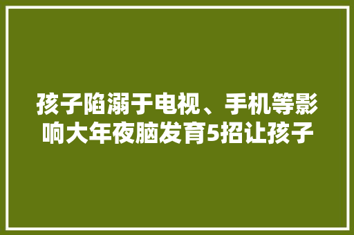 孩子陷溺于电视、手机等影响大年夜脑发育5招让孩子远离电子产品,电视安装挂墙上门服务。
