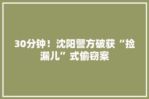 30分钟！沈阳警方破获“捡漏儿”式偷窃案