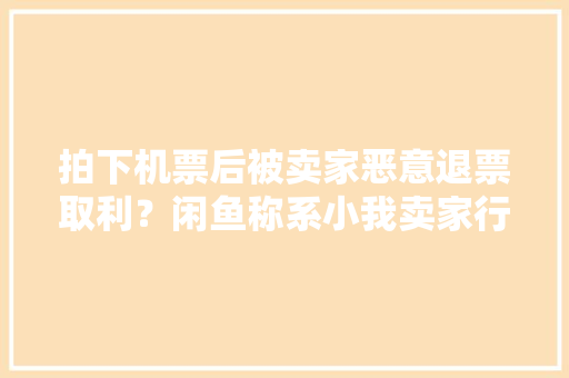 拍下机票后被卖家恶意退票取利？闲鱼称系小我卖家行为建议举报