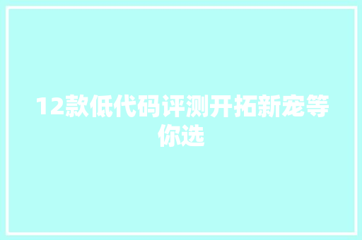 12款低代码评测开拓新宠等你选