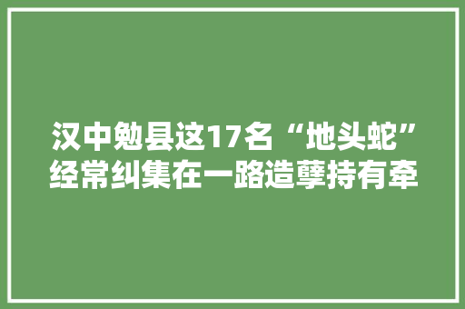 汉中勉县这17名“地头蛇”经常纠集在一路造孽持有牵制刀具在乡里晃荡还有意“碰瓷”学“牛二”……