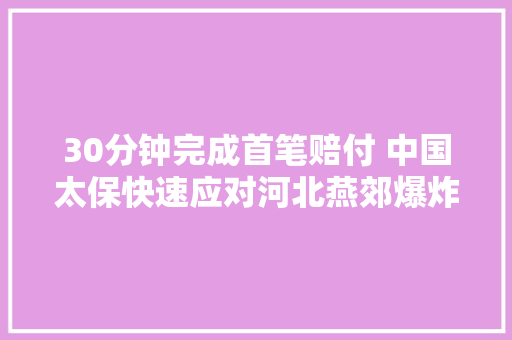 30分钟完成首笔赔付 中国太保快速应对河北燕郊爆炸事件
