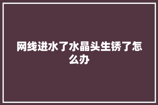 网线进水了水晶头生锈了怎么办,网线水晶头排线图片。
