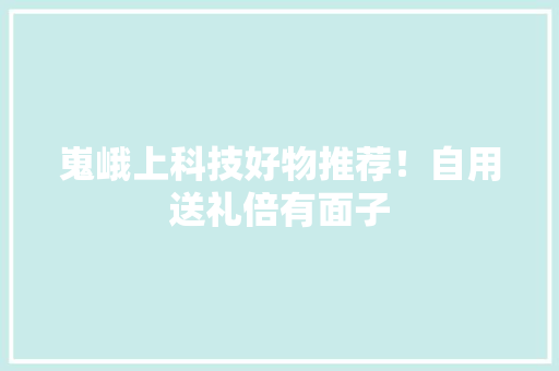嵬峨上科技好物推荐！自用送礼倍有面子,机器人叉车。