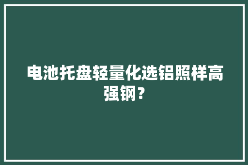 电池托盘轻量化选铝照样高强钢？
