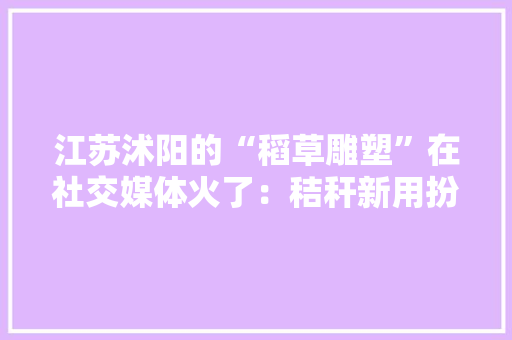 江苏沭阳的“稻草雕塑”在社交媒体火了：秸秆新用扮靓村落,稻草人。