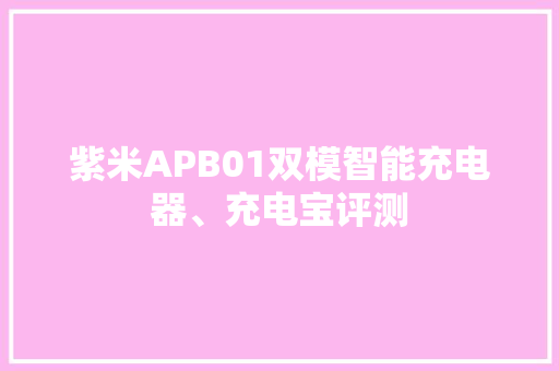 紫米APB01双模智能充电器、充电宝评测